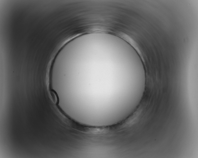 X0000089851195200707121712
