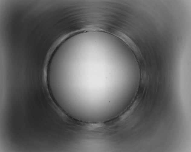 X0000089851196200707121712