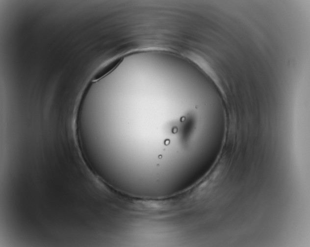 X0000089851197200707121712
