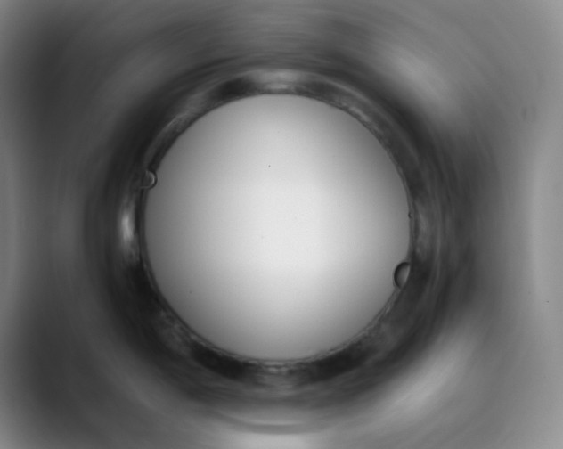 X0000089851198200707121712