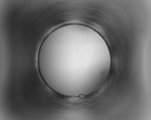 X0000089851199200707121712