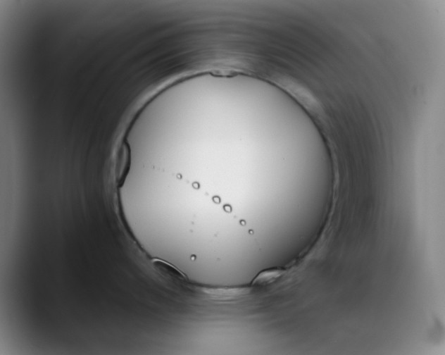 X0000089851200200707121712