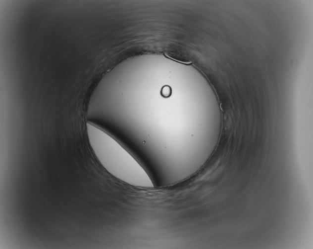 X0000089851202200707121712