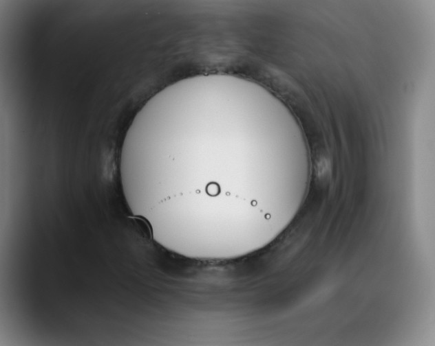X0000089851204200707121712