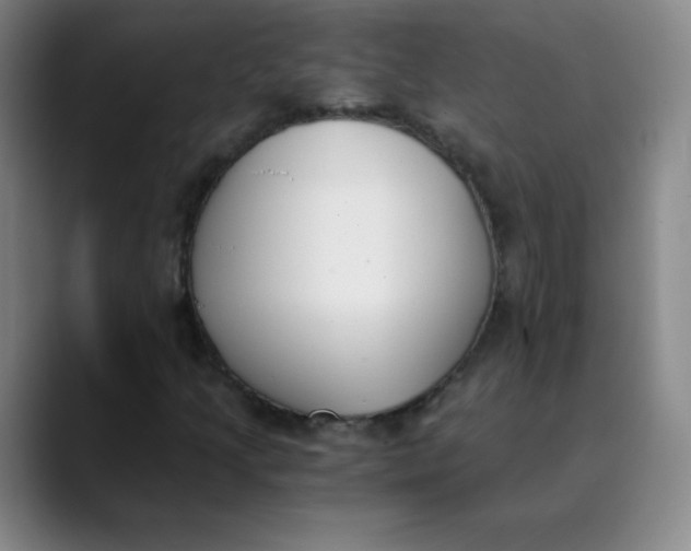 X0000089851205200707121712