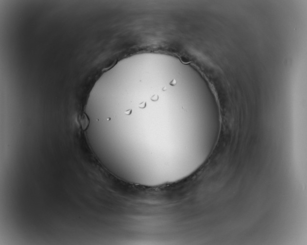 X0000089851206200707121712