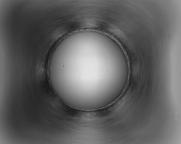 X0000089851210200707121712