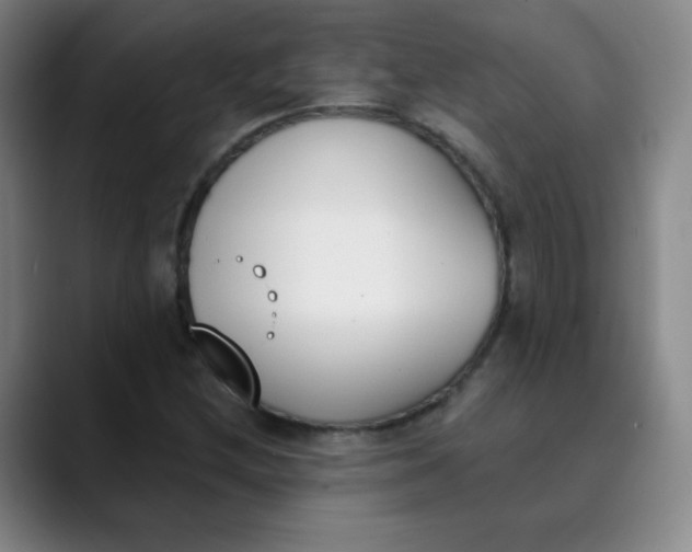 X0000089851212200707121712