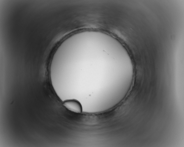 X0000089851215200707121712