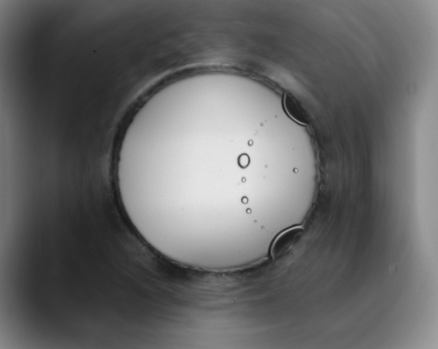 X0000089851216200707121712