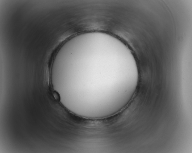 X0000089851219200707121712