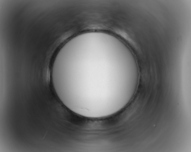 X0000089851221200707121712