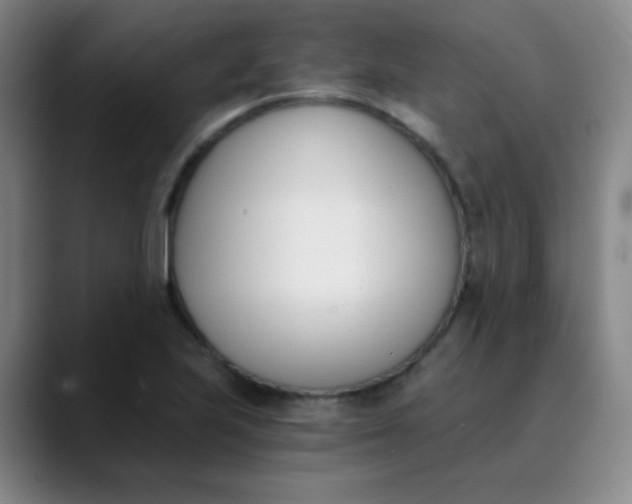 X0000089851223200707121712