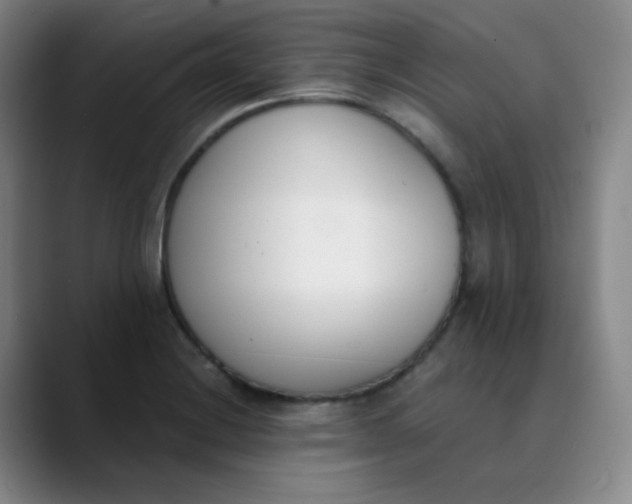 X0000089851228200707121712