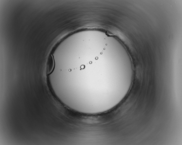 X0000089851229200707121712