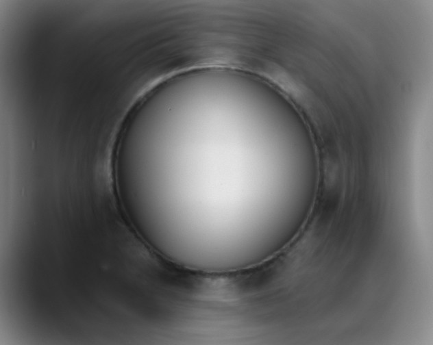 X0000089851230200707121712