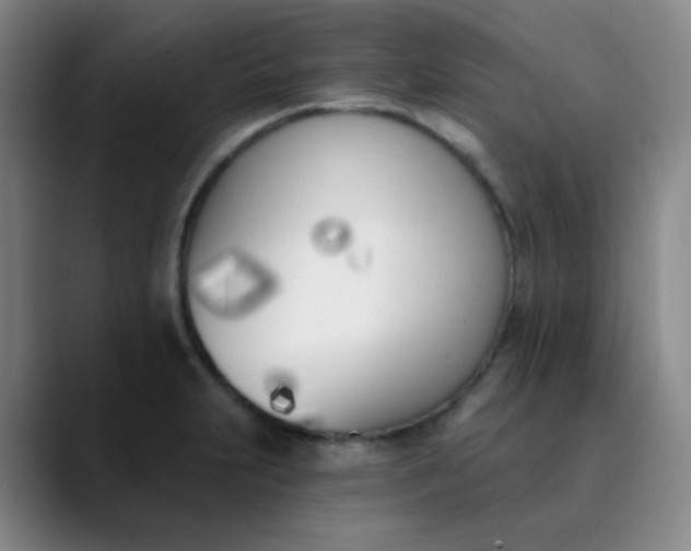 X0000089851231200707121712