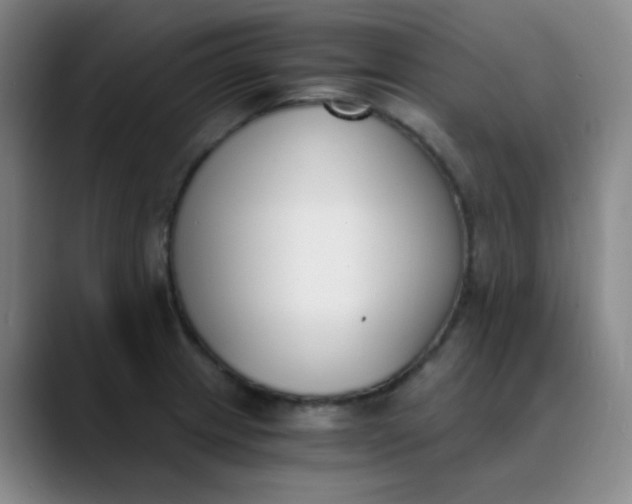 X0000089851233200707121712