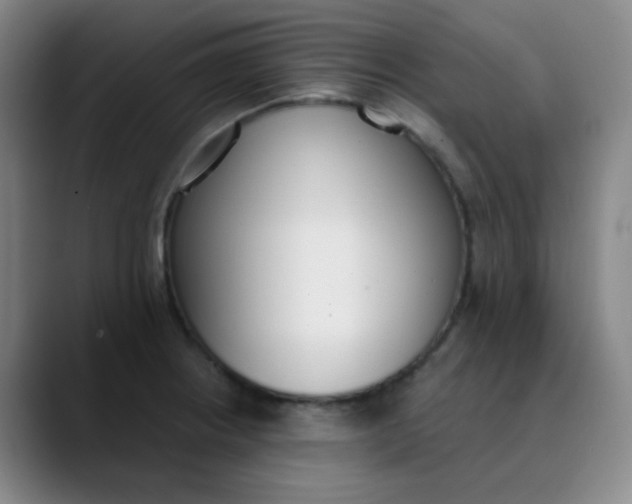 X0000089851234200707121712