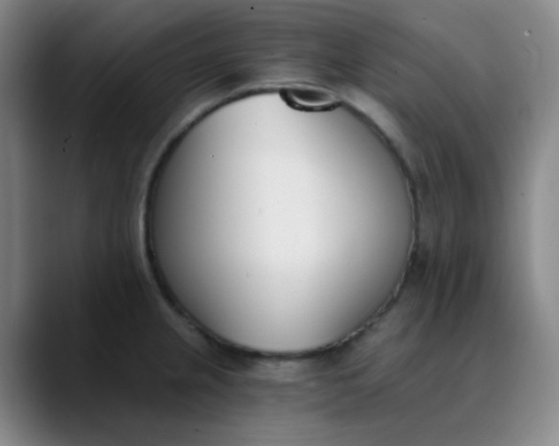 X0000089851237200707121712