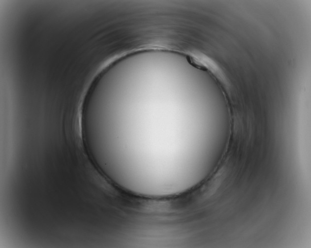 X0000089851238200707121712