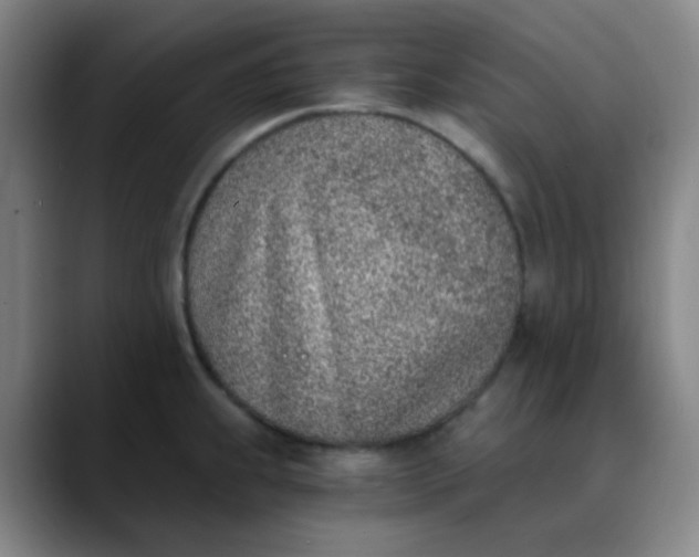 X0000089851239200707121712