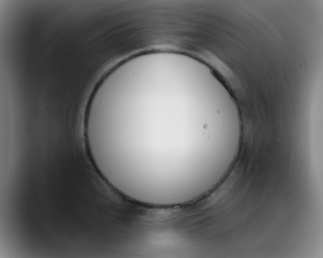 X0000089851240200707121712