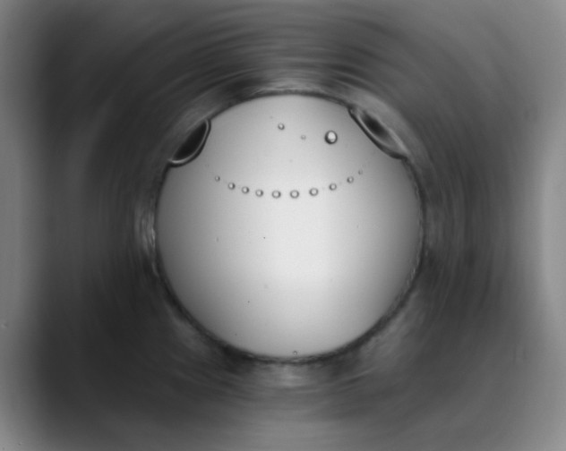 X0000089851241200707121712