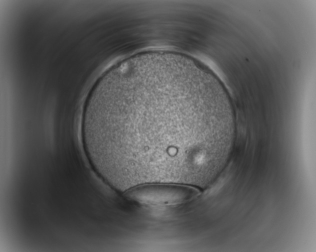 X0000089851245200707121712