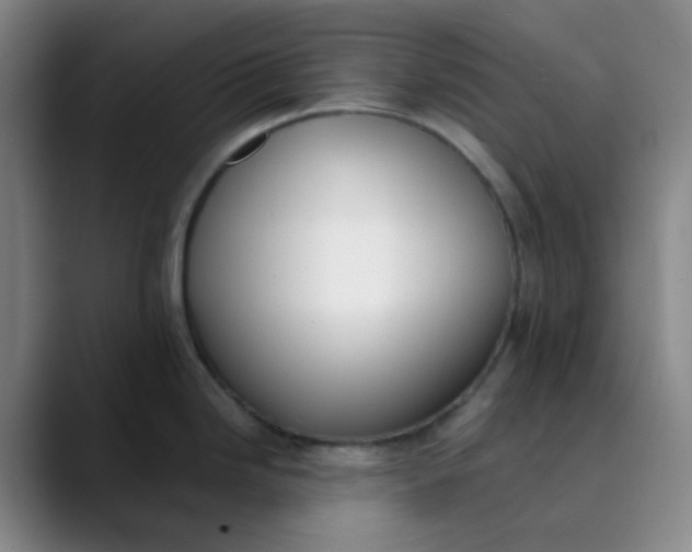X0000089851246200707121712
