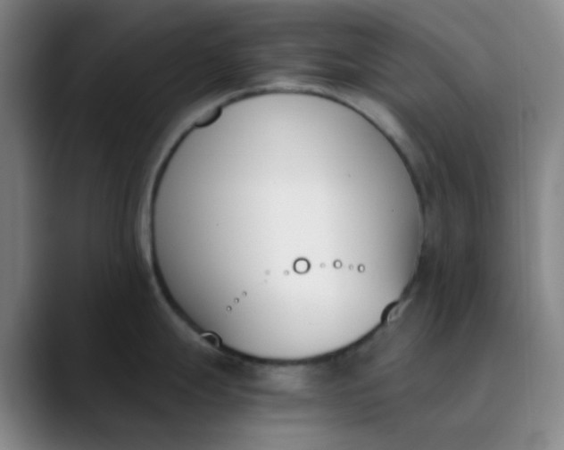 X0000089851247200707121712