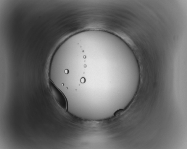 X0000089851248200707121712