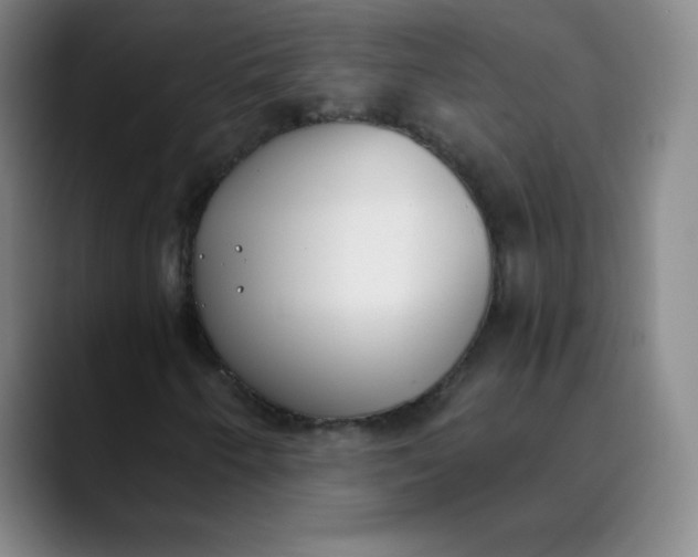 X0000089851250200707121711