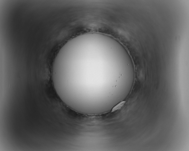 X0000089851253200707121711