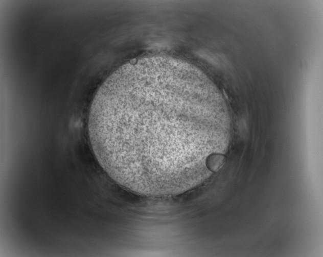 X0000089851254200707121711