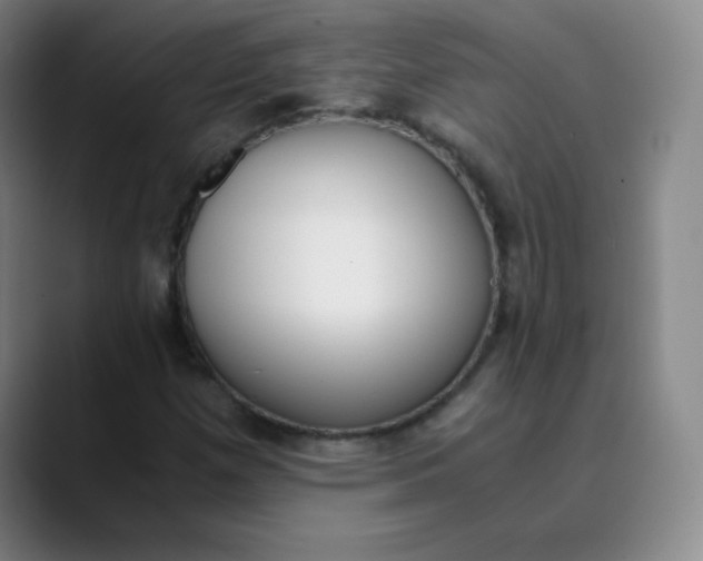 X0000089851257200707121711