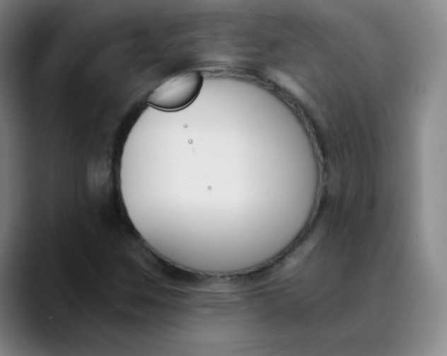 X0000089851259200707121711