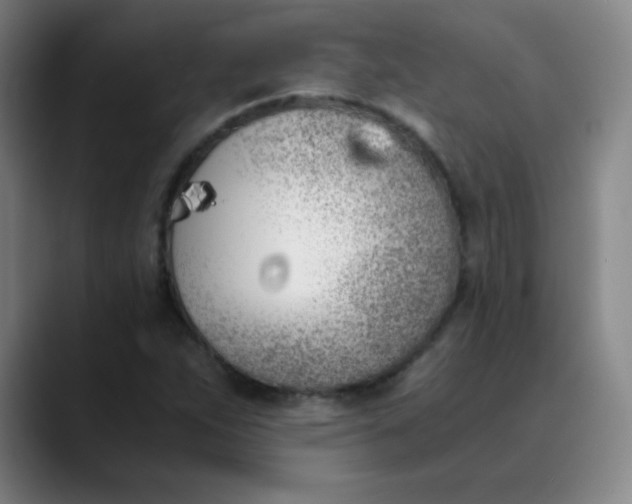 X0000089851263200707121711