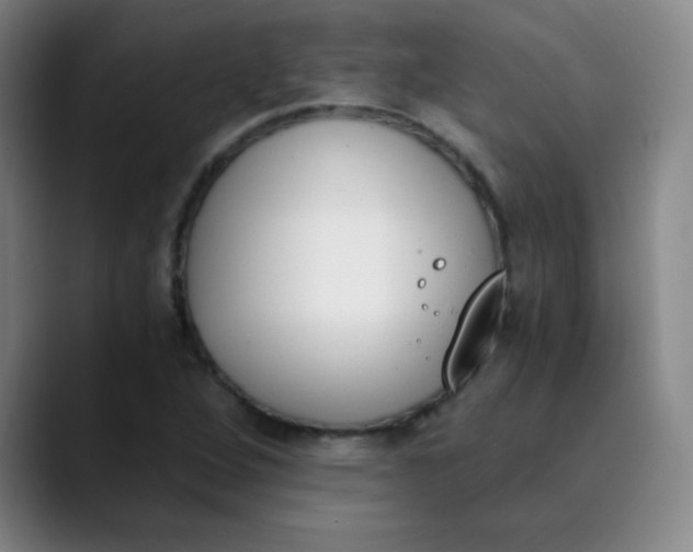 X0000089851264200707121711