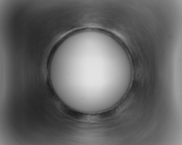 X0000089851271200707121711