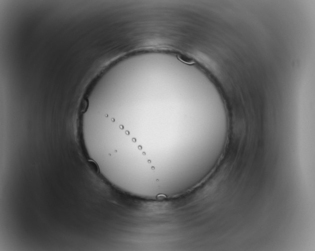 X0000089851277200707121711