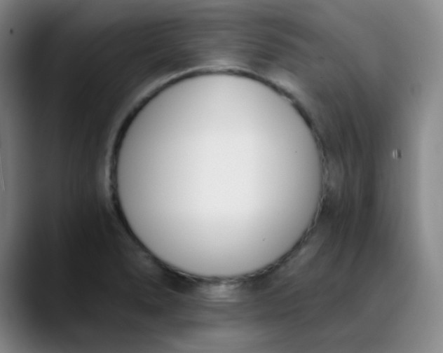 X0000089851278200707121711