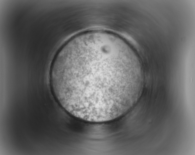 X0000089851279200707121711