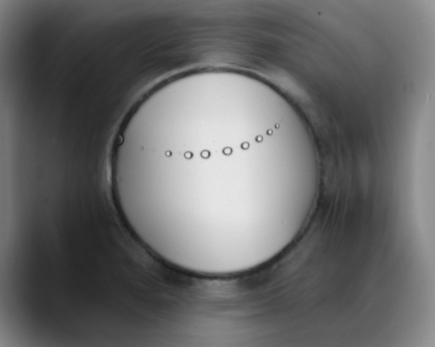 X0000089851280200707121711