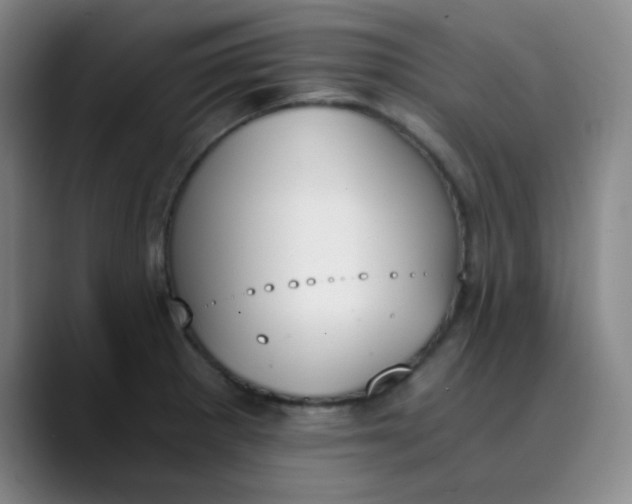 X0000089851281200707121711