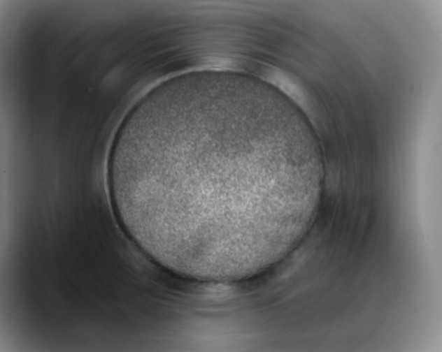 X0000089851283200707121711
