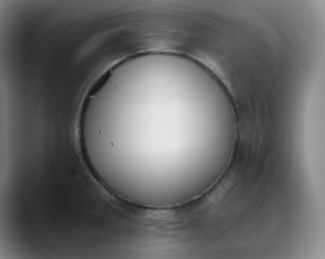 X0000089851285200707121711