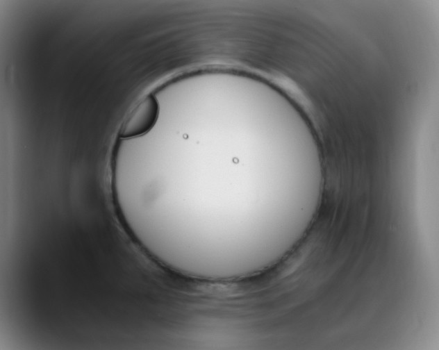 X0000089851287200707121711