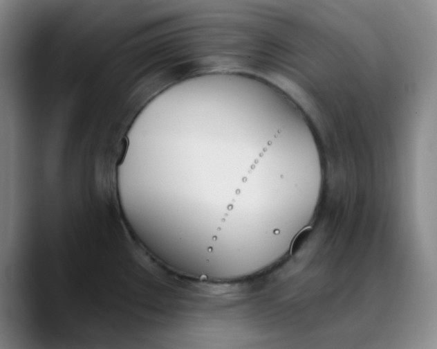 X0000089851289200707121711