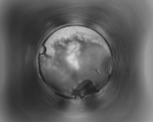 X0000089851291200707121711